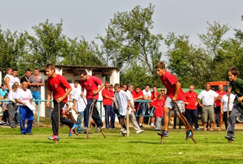 Read more about the article TEMELJNI DOKUMENTI HSTIS-a